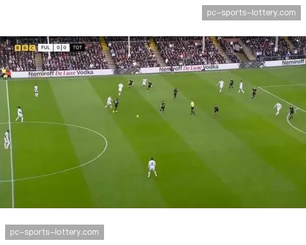 VAR焦点：富勒姆进球前是否对门将存在干扰？裁判专家意见分歧